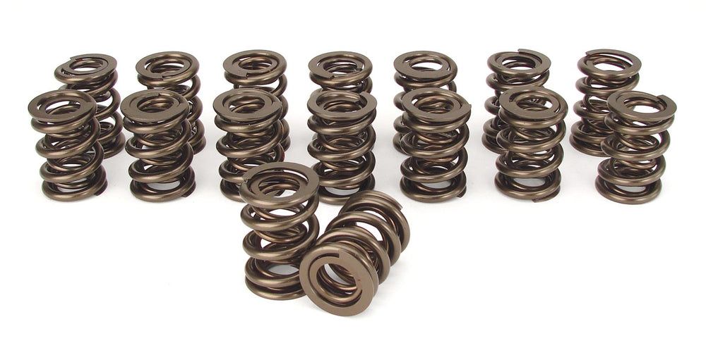 Dual Valve Springs