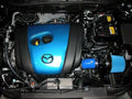 Power Series Short Ram Air Intake