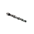 Xtreme Energy Hydraulic Roller Camshaft