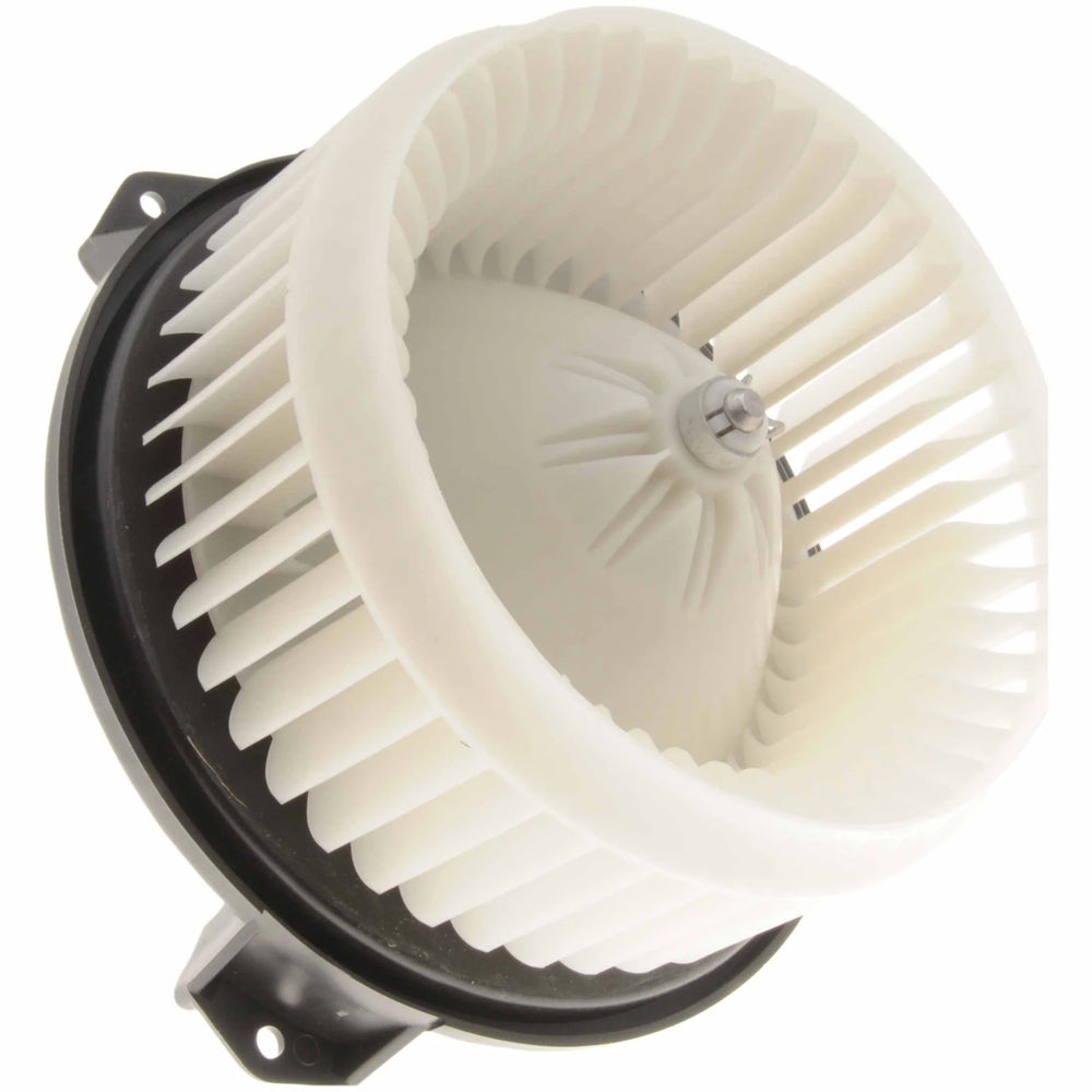 Blower Motor
