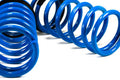 Lowering Springs