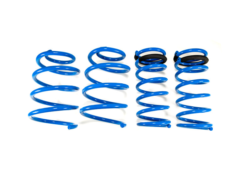 Lowering Springs