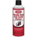 THROTTLE BODY & AIRINTAKE CLEANER 12 WT OZ
