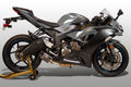 Street Slayer Carbon Fiber Slip-On Exhaust