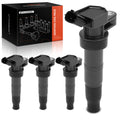 Ignition Coil Set