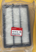 Engine Air Filter