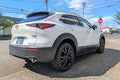 CX-30 Cat Back Exhaust