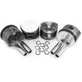 Hypereutectic Piston and Cylinder Set
