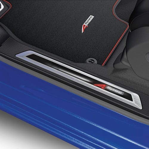 OEM Entry Lights