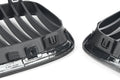 Carbon Front Grille Set
