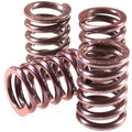 Clutch Plate Kit
