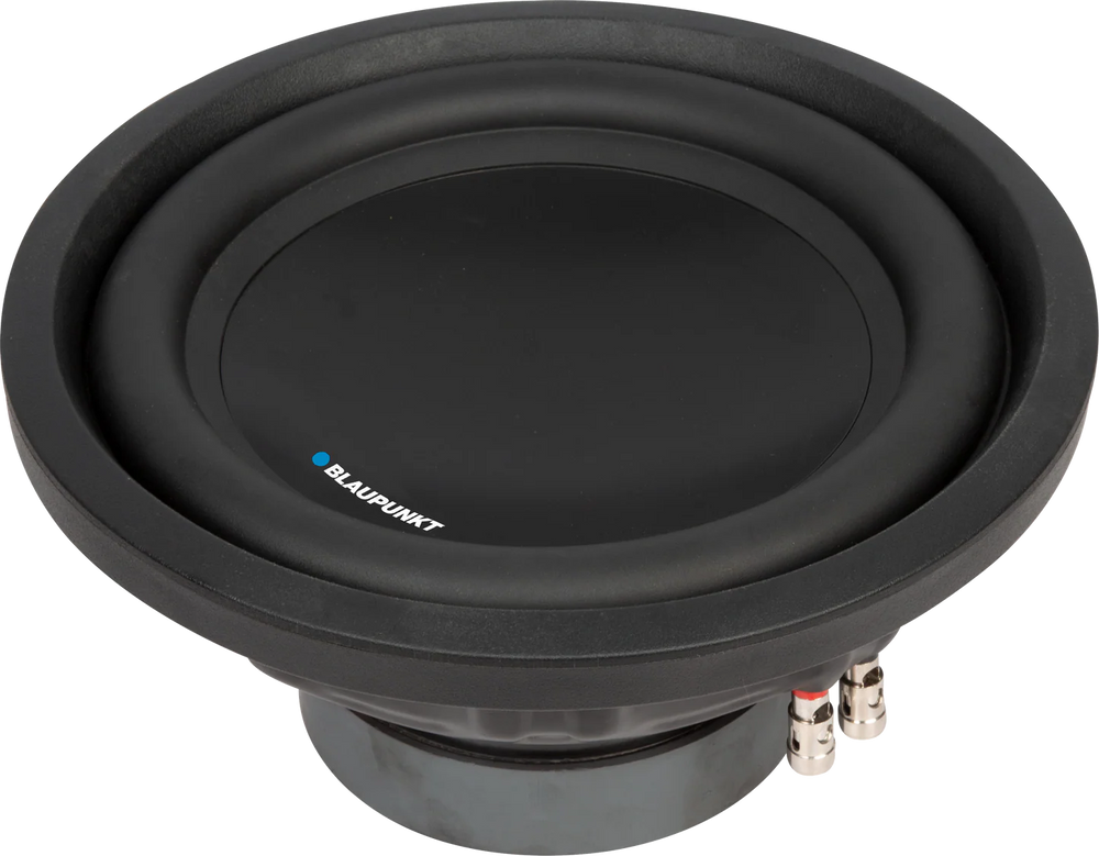10-Inch Dual Voice Coil Subwoofer