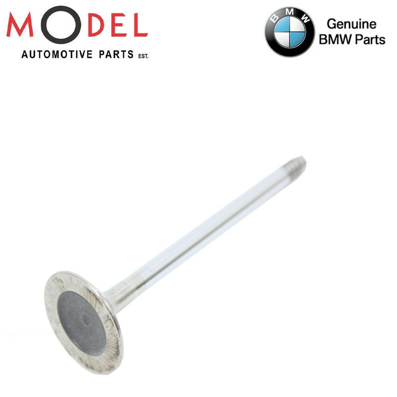 Intake Valve