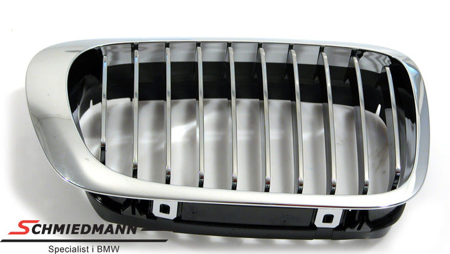 Kidney Grille, Right