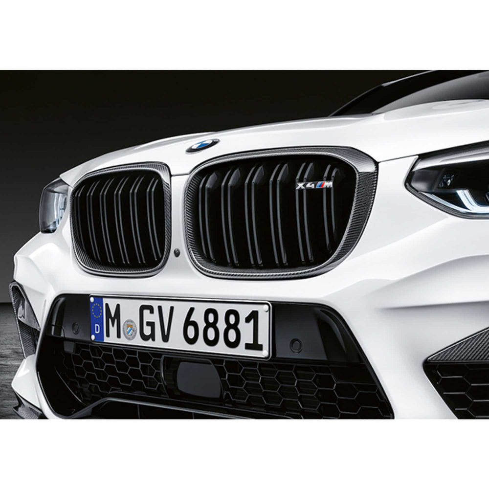 M Performance Carbon Fiber Kidney Grille, Left Side