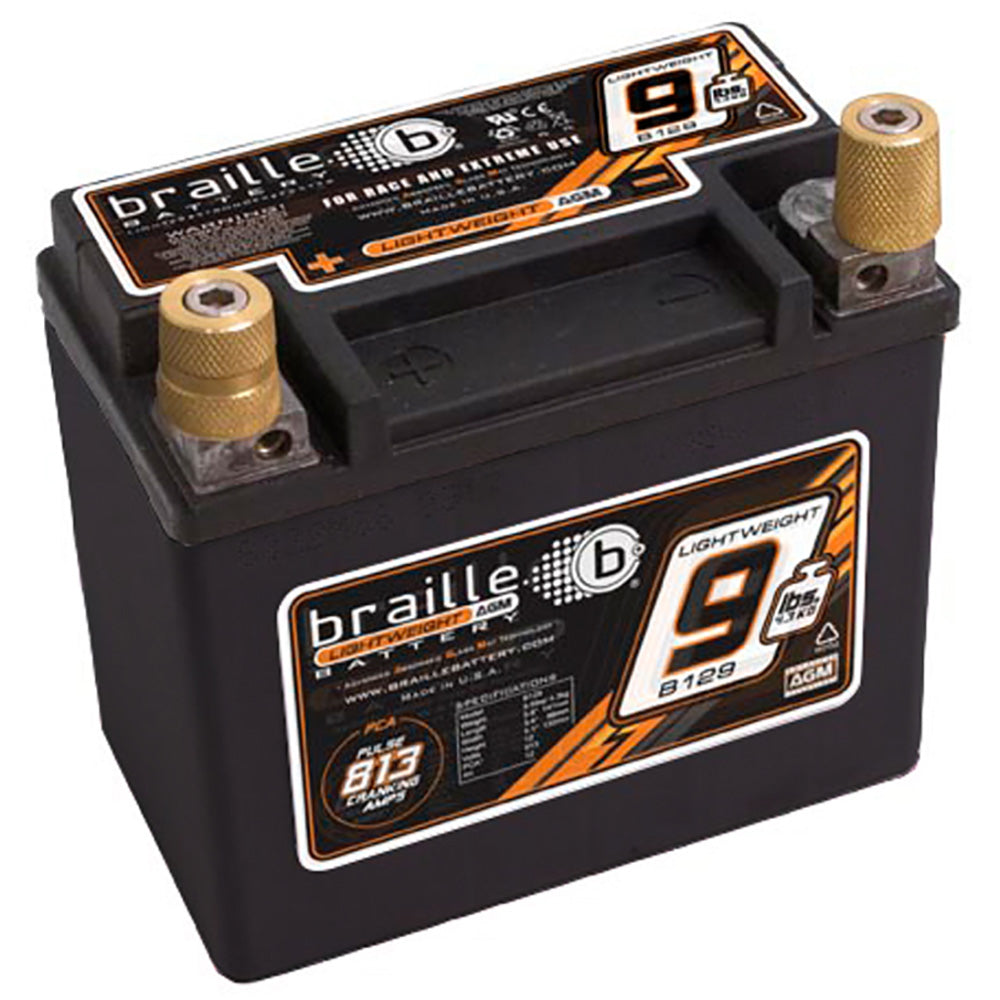 B129 AGM Battery