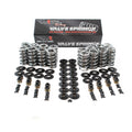 Platinum Dual Valve Spring Kit w/ Locks & Retainers