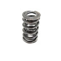 Racing .660" Platinum Dual Valve Springs