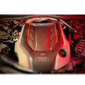 Carbon Fiber Brace Set