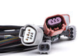NexGen Flex Fuel Ethanol Sensor Kit