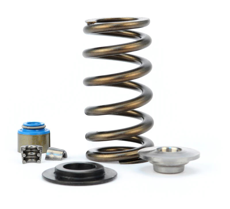 26125CTI-KIT Valve Spring Kit