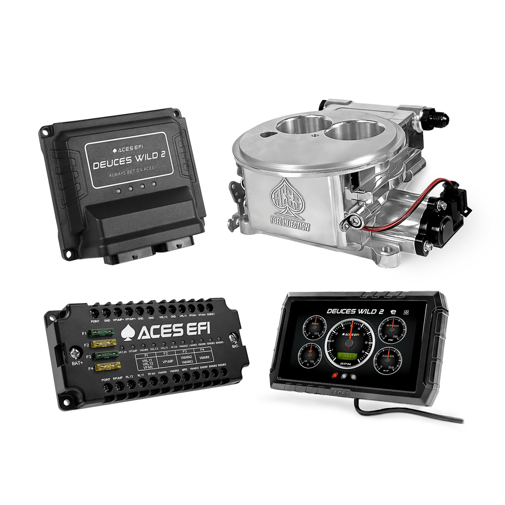 Deuces Wild 2-bbl EFI System