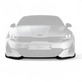 Wet Carbon Fiber Front Lip