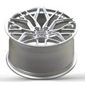 ALT20 20-Inch Multi-Spoke Wheels