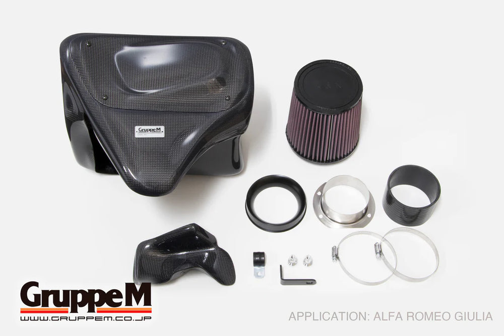 HKS Carbon Fiber Intake System