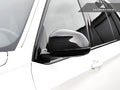 Carbon Fiber Mirror Caps
