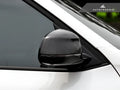 Carbon Fiber Mirror Caps