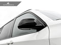 Carbon Fiber Mirror Caps