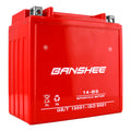 14-BS AGM Motorcycle Battery 12V 14Ah CCA