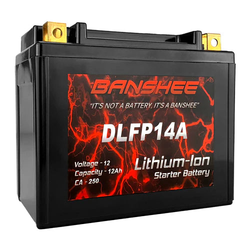 14-BS AGM Motorcycle Battery 12V 14Ah CCA