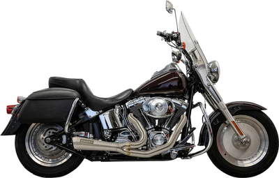 Ripper 2-into-1 Exhaust System