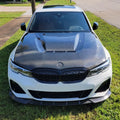 CS Style Carbon Fiber Hood