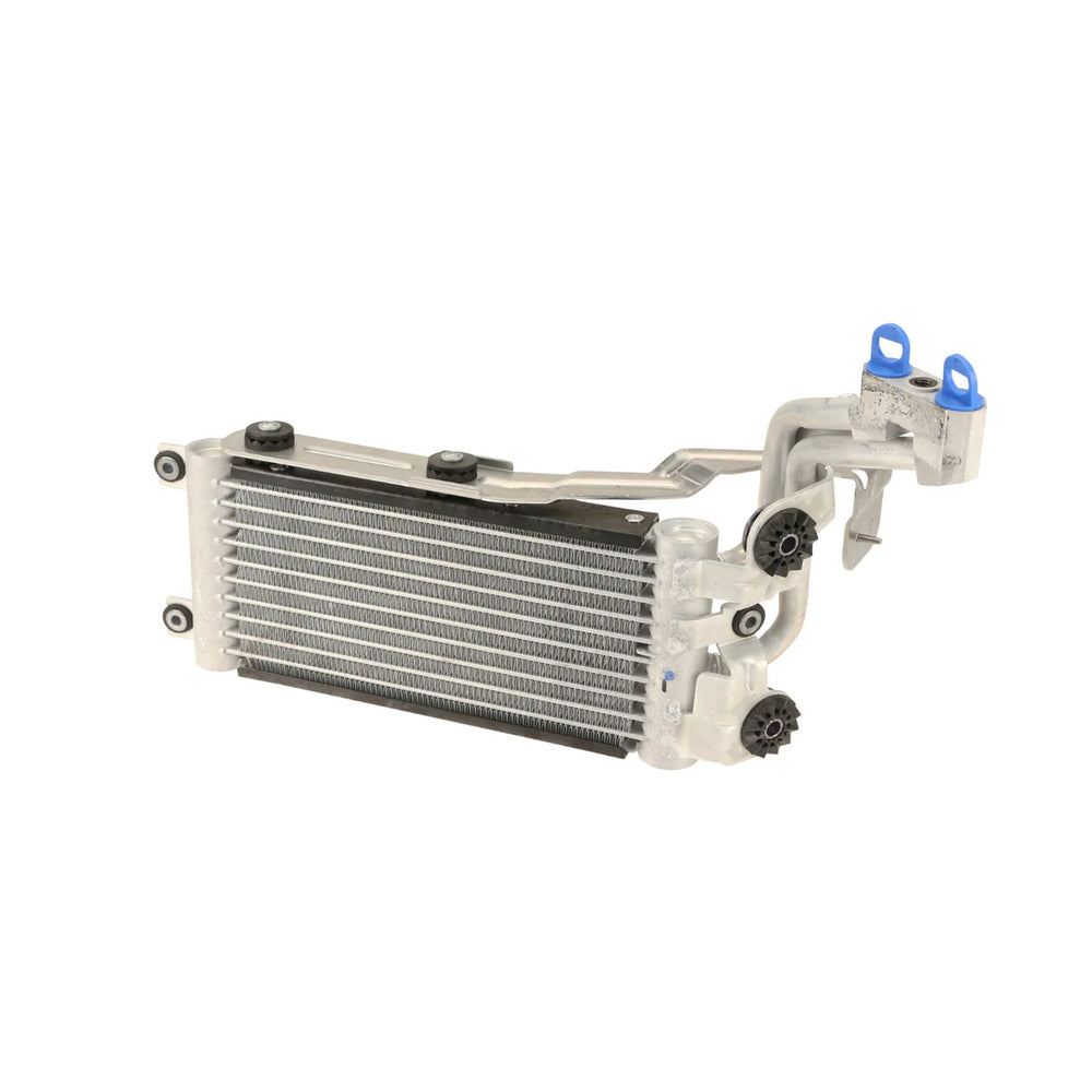 Engine Oil Cooler