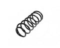 Front Coil Spring