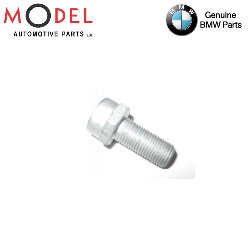 M10x1x22 Clamping Bolt