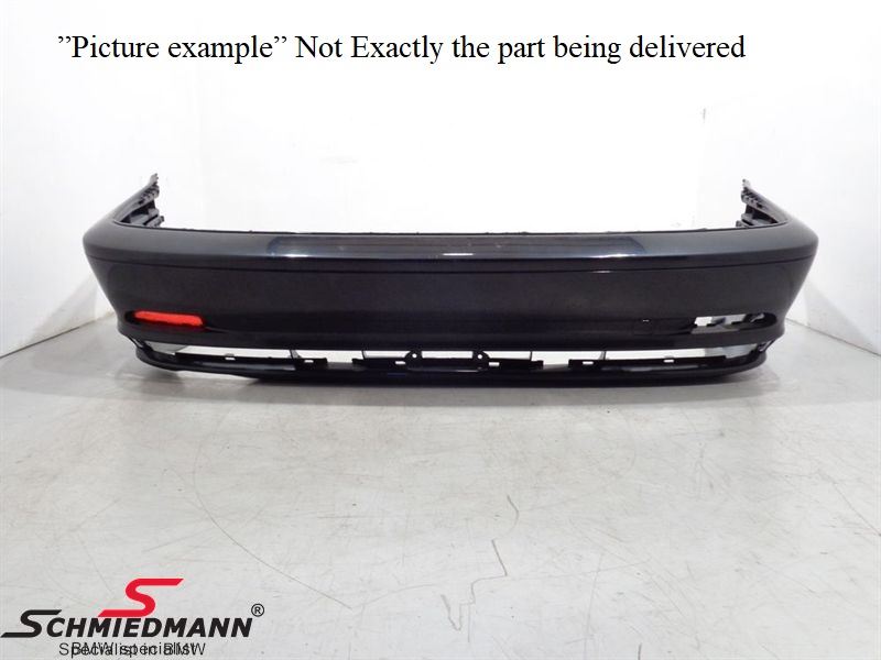 Rear Bumper Trim Panel