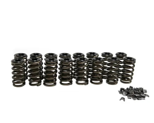 Valve Spring Kit for 2v Modular Ford
