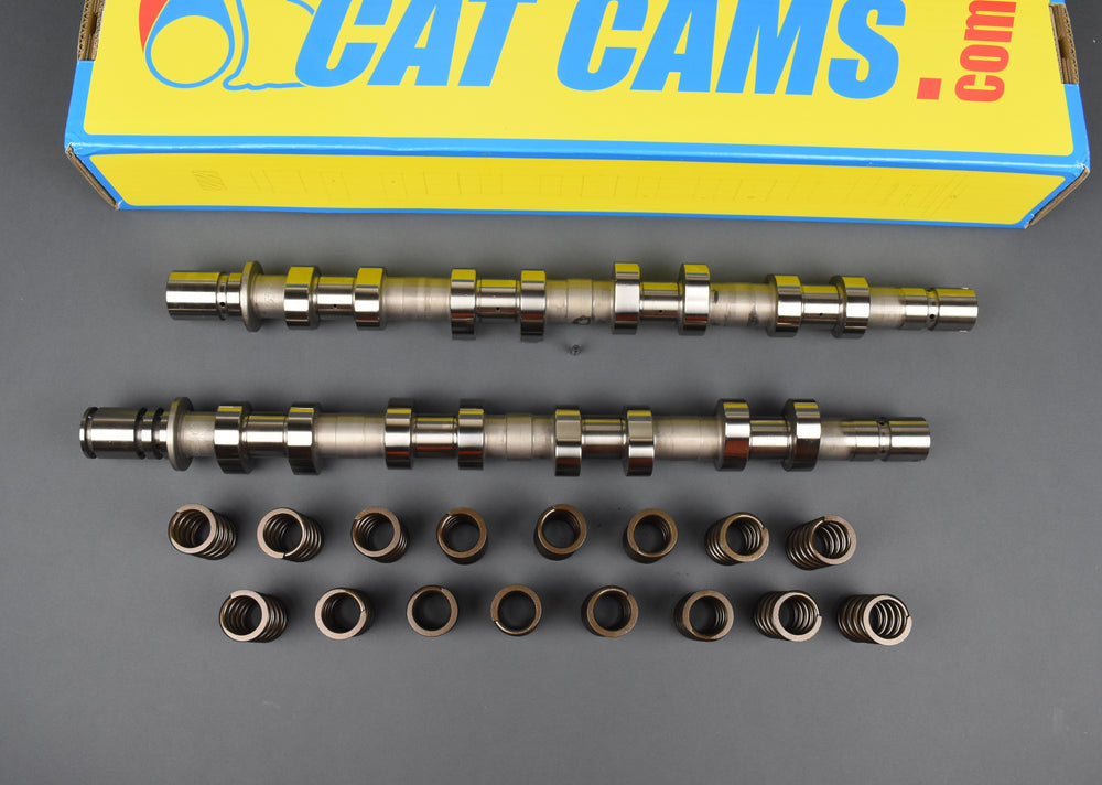 Sport Camshaft Set Renault F4R.730