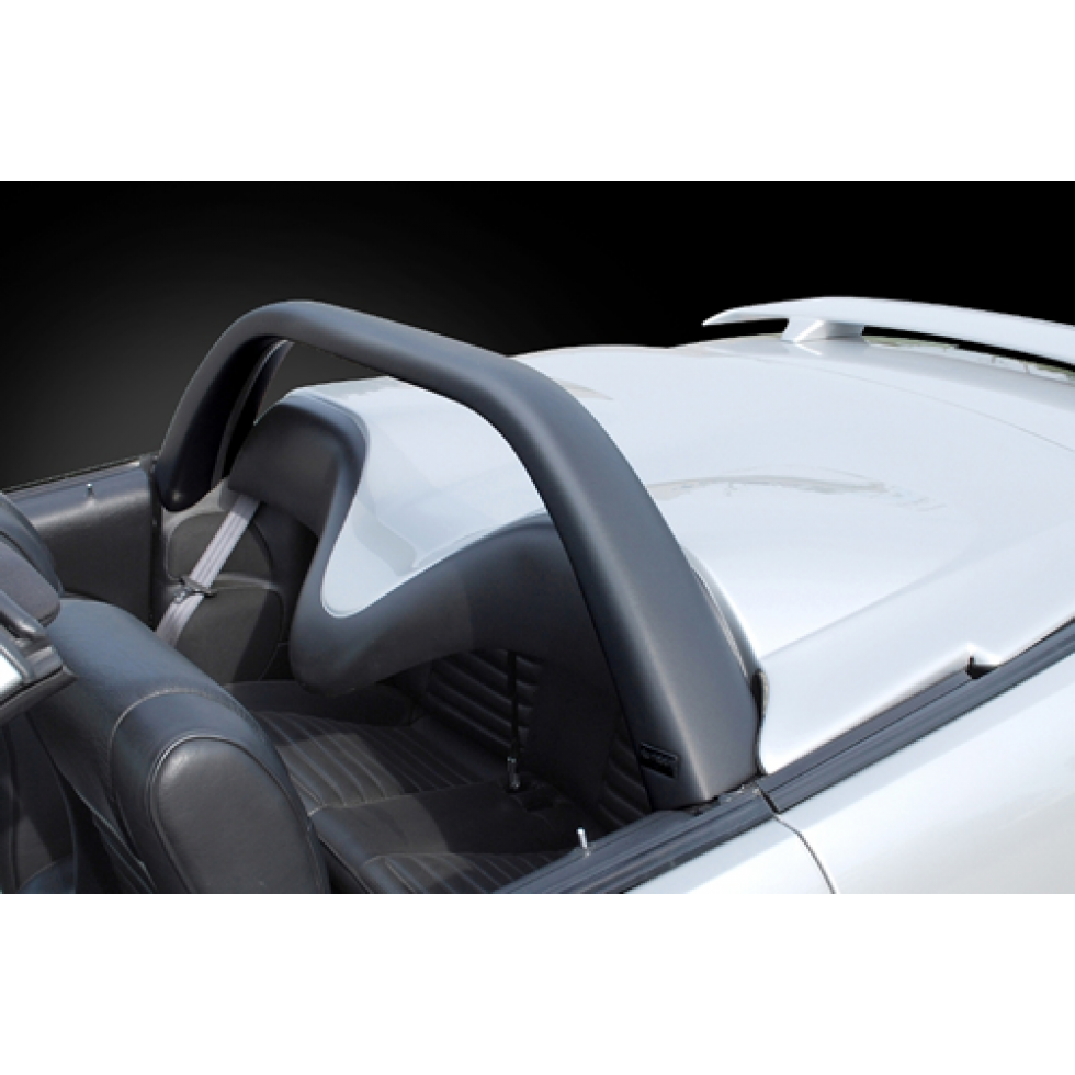 Mustang Light Bar