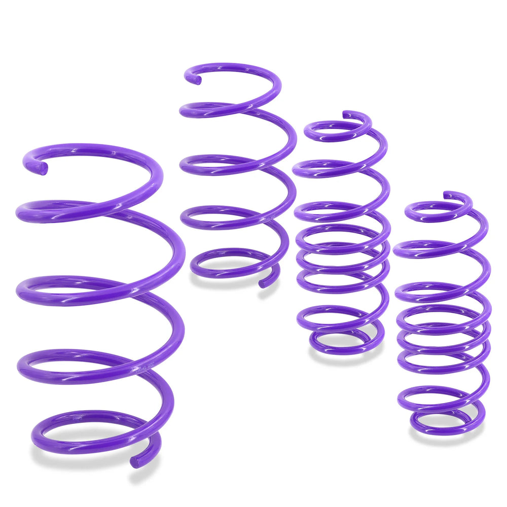 2.5-Inch Lowering Springs