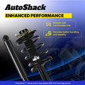 Anti-Corrosion Finish Strut Assembly