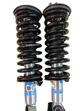 Front Lift Strut Assembly