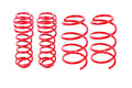Drag Race Lowering Springs
