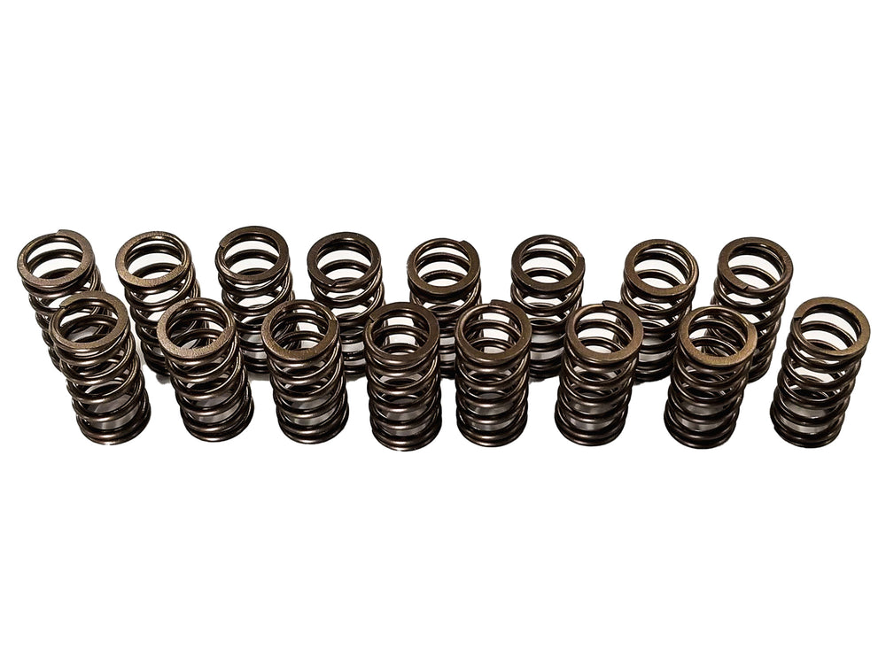 Upgraded Valve Springs