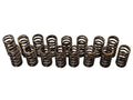 Upgraded Valve Springs