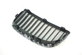 Right Grille Assembly